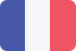 Français Français Flag